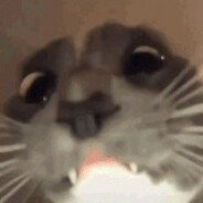 zanxey (@zanx3y) 's Twitter Profile Photo