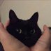 .. (@knightdevlog) Twitter profile photo .. (@knightdevlog) Twitter profile photo