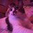 Atelier_shian10