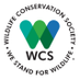 WCS Mozambique (@wcsmozambique) Twitter profile photo WCS Mozambique (@wcsmozambique) Twitter profile photo