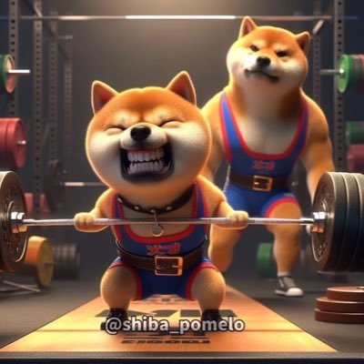 okinawa098a's profile picture. バイク乗りはみんな友達( ✌︎'ω')✌︎ #沖縄 #バイク #cb1300 sc54 キャブ仕様  #cb400sf カムギア仕様   #柴犬400rr