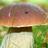 enautlasarte's profile image