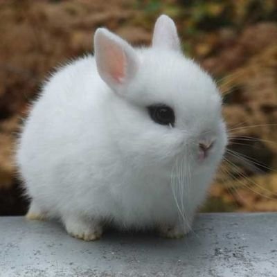 aaaさんのプロフィール画像