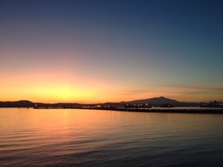 daissyfk's profile picture. 