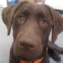 ryan koons - @KoonsRyan - Twitter