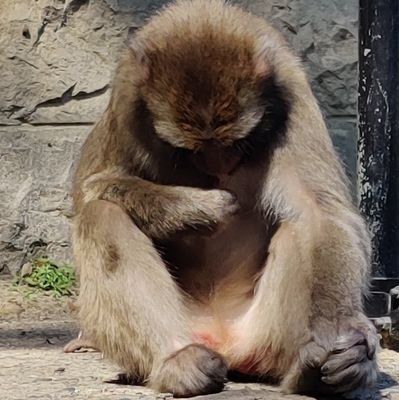 なぎ🍑🍐🍓⚽さんのプロフィール画像