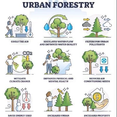 ya24234's profile picture. Авах хүнд үг эрхэм.