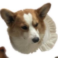 TARVER❄️ (@tarver_1214) Twitter profile photo
