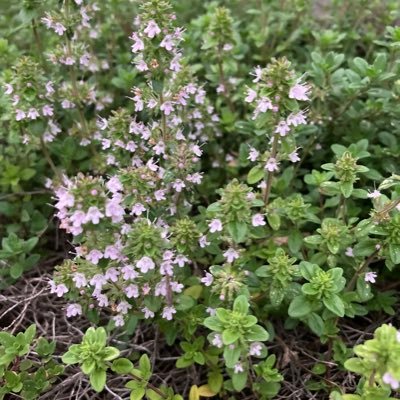 7G9XBuz2jQWocRr's profile picture. あらゆる差別に反対する！