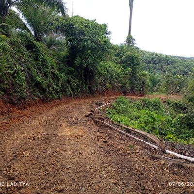 jdan1488041's profile picture. 