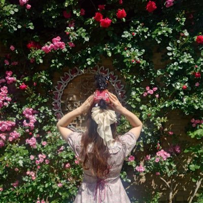 そろそろ初心者じゃなくなってきたかも クラロリ好き イエベ春骨格ストレート 趣味は競馬とアニメ 成人済みです