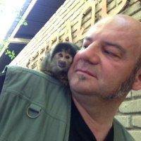 PeterJacobs (@p_quintessence) 's Twitter Profile