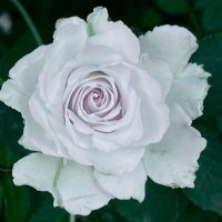 ーぬ (@gc2dt6t4dbq3vga) 's Twitter Profile