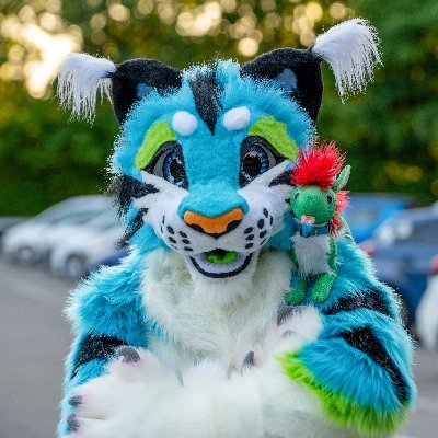 Kriegerbeere 🐯🦈さんのプロフィール画像