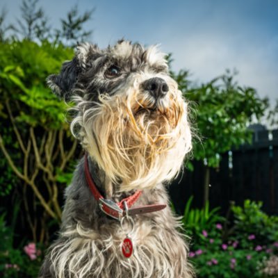 100mmcl's profile picture. 