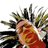 bertolami's profile image