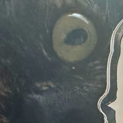 かいこ🫠さんのプロフィール画像