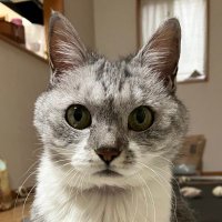 せ り な (@_yarebadekiruk0) 's Twitter Profile