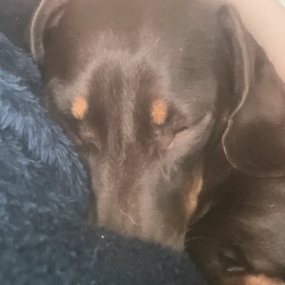 Char03828195966's profile picture. 