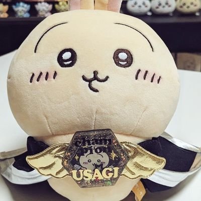 doj4613chi's profile picture. 工作の記録＋手の届く範囲で楽しむちい活