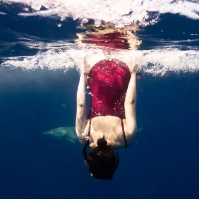 BTr4c's profile picture. 🌲 Nature's child | Hiking up mountains & dreaming under stars | Bringing a little green to the digital space 🍃🌌