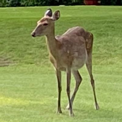 RDhbSdIiywQPZxE's profile picture. 