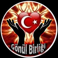 🇹🇷 Sorani Reis RT 🇹🇷 (@yavuztorunu_) 's Twitter Profile