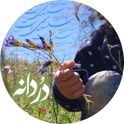 هنرمند، طراح و فعال رسانهای مطالبهگر اهل #دزفول. اکانتهای قبلی که شـهید شدن، فدای یک تار موی دردانه قلبم🤍
