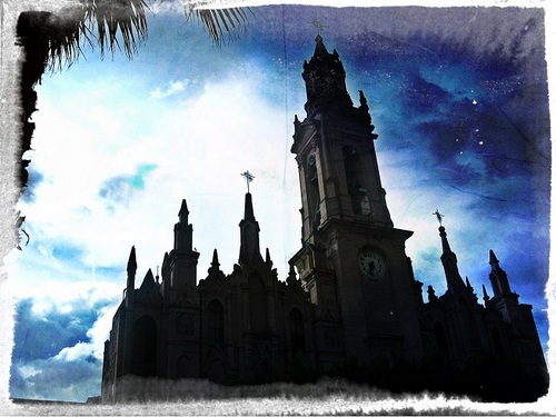 tepetongozaccom's profile picture. 