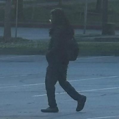 Octopots1's profile picture. 