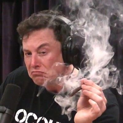 GNyc202478955's profile picture. The art & photography Marketplace bringing exposure to independent and emerging artists 📸 Built on Polygon & Ethereum! 💙https://t.co/PXqwAb7crc💙