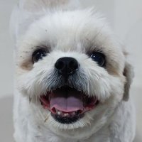 SKY & SUN (@yngernyen) 's Twitter Profile Photo SKY & SUN (@yngernyen) 's Twitter Profile Photo