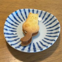 kohii (@more_kohii) 's Twitter Profile