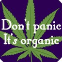 jesse dion-hosie - @dionhosie - Twitter