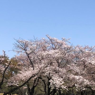 tkmaen1's profile picture. 30