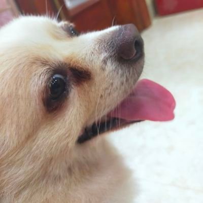 nstunin1450's profile picture. ngăn kéo hướng nội.