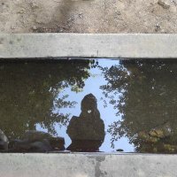 sema (@yaramazzov) Twitter profile photo
