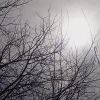 txzzi (@txzzinator) 's Twitter Profile Photo txzzi (@txzzinator) 's Twitter Profile Photo