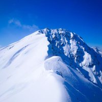 ふぉあ (@mtfois) Twitter profile photo