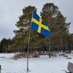 Rost🇸🇪 (@kallef145) Twitter profile photo Rost🇸🇪 (@kallef145) Twitter profile photo