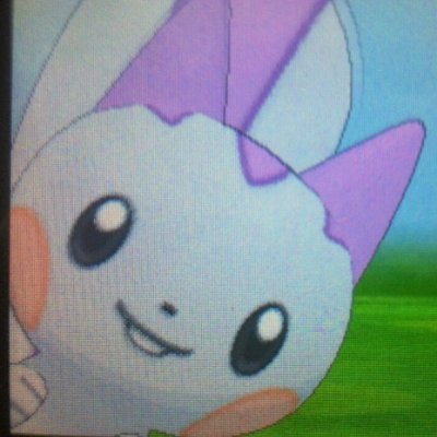 温泉♨ と お酒 🍶 音楽♩( ´ー`* )♩ たまに運動をして ひそやかにくらす
あのちゅ〜る パチリスなのだ🐿
⚾🦅