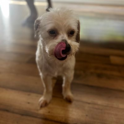 SaOy42's profile picture. Mom, wife, teacher (K,3rd,4th,reading intervention,5th), sister, friend, 49er faithful, swiftie, lover of history, music & films, inimitable