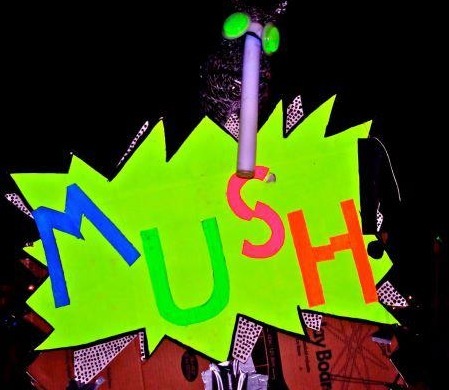 The Mush Crew is a group of individuals (mostly from Chicago) that enjoy Mushing at Electronic Festivals throughout the US of A. Mush On!