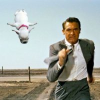 cryptotomoon (@cryptdegen01) 's Twitter Profile
