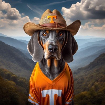 VolsSportsDude's profile picture. #GoVols 🍊 | Blocked By @DanWolken