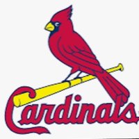 Carolina Cardinals - Dyson (@nc_dyson) 's Twitter Profile