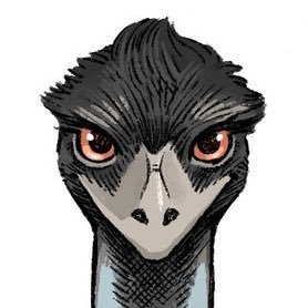 houseofemu's profile picture. (ｰ◇ｰ) not ostrich... →icon @kazuholland_dr