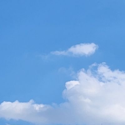 sonsujeong27331's profile picture. 