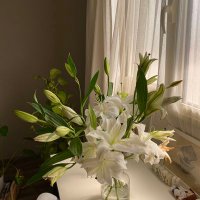 الرهآم 🌱 (@rehamomar136) 's Twitter Profile