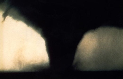 TornadoAlert's profile picture. I will tell you about current US tornado warnings.